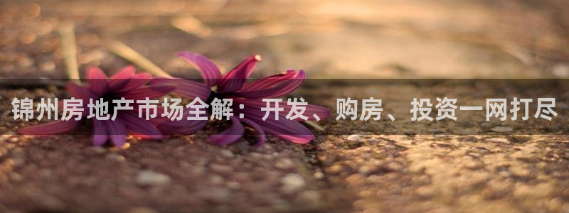 永利贴吧