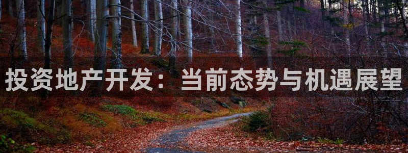 永利金控控股有限公司