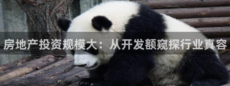 永利会员卡级别及福利