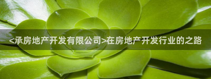 永利房地产有限公司