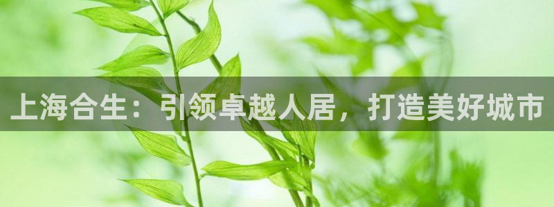 9900777z永利网