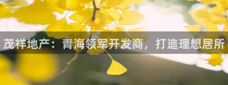 永利来织带厂