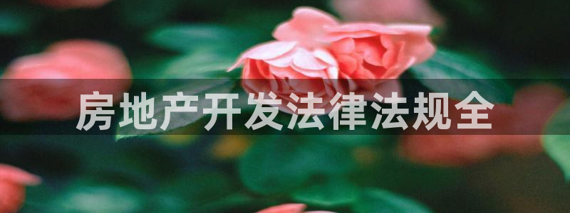 永利网是不是真的便宜