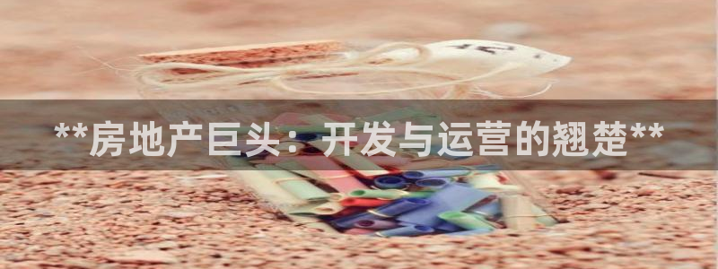 永利集团304am官方入口