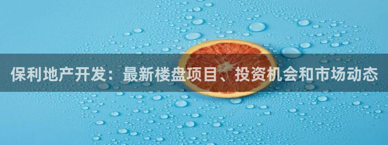 永利皮带报价查询