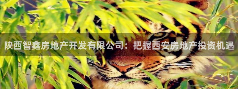 3044am永利集团 官网