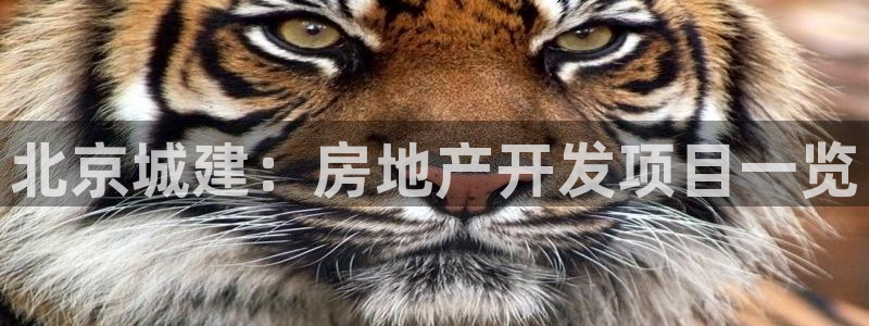 为什么永利网址打不开