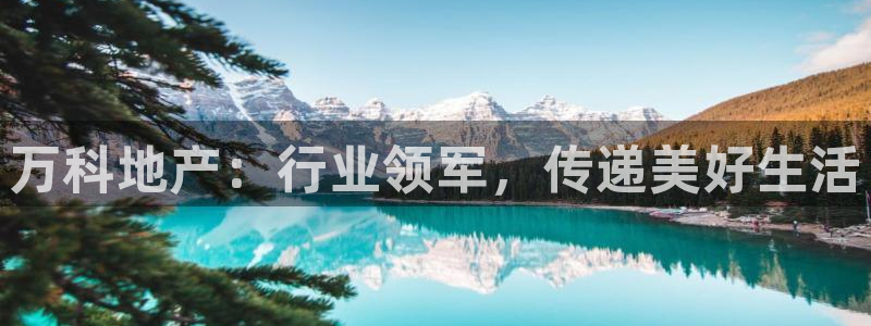 永利皮带型号说明