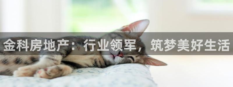 永利鞋业有限公司