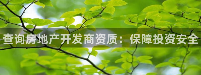永利带业集团2020年的业绩状况