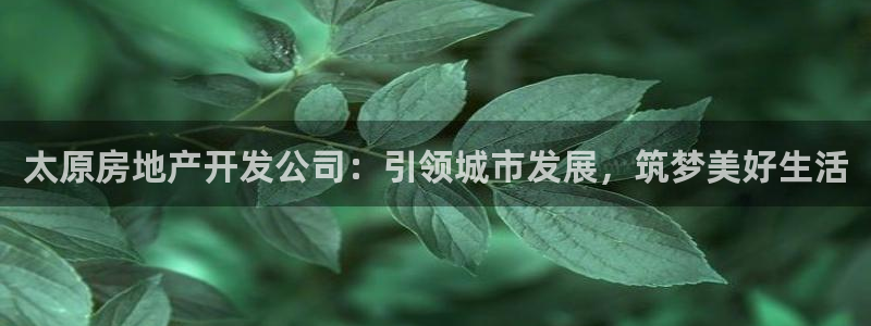 澳门 永利