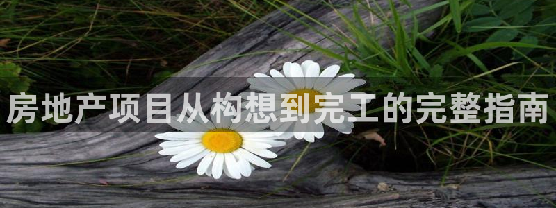佛山永利工业皮带