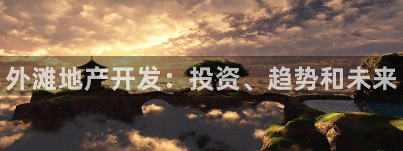 永利有限责任公司