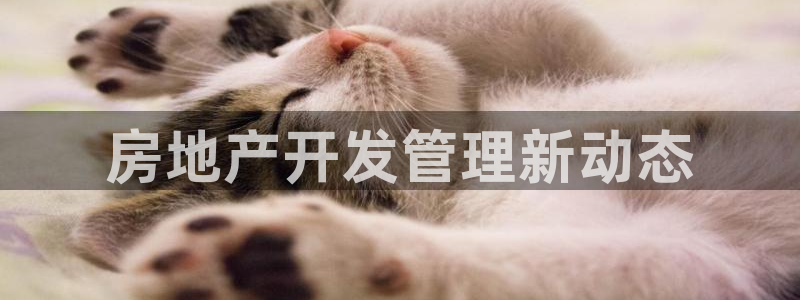 永利皇宫是金沙的吗