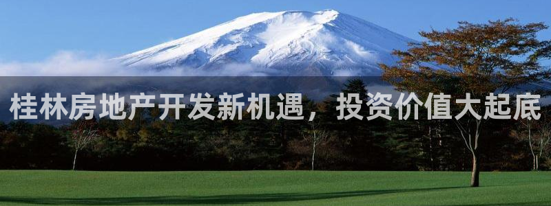 永利杯掼蛋