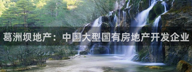 永利保险公司介绍
