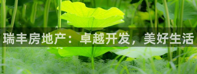 永利皮革有限公司招聘
