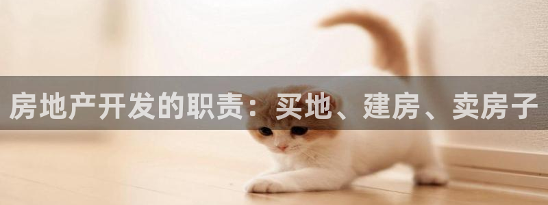 永利汇茶具有限公司