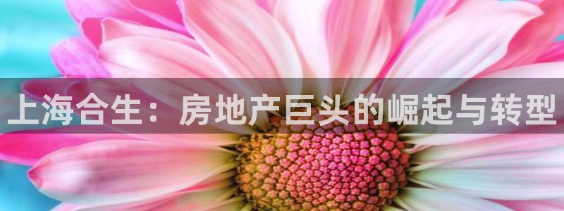永利网能赚钱是真的么