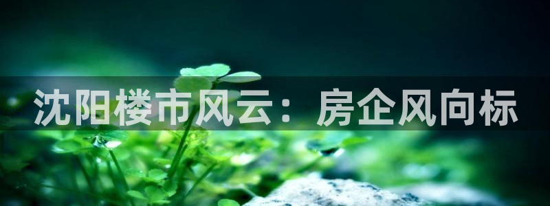 永利鞋业有限公司
