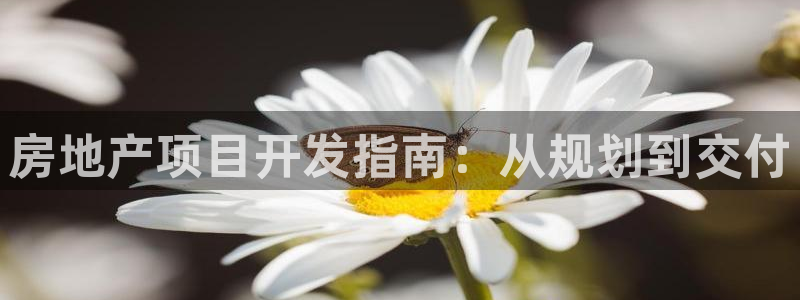 永利大酒店价格表