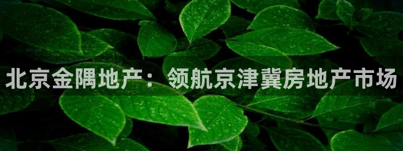 永利建材有限公司