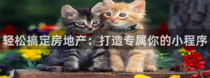 佛山永利工业皮带厂招聘