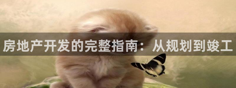 永利酒店老板是谁