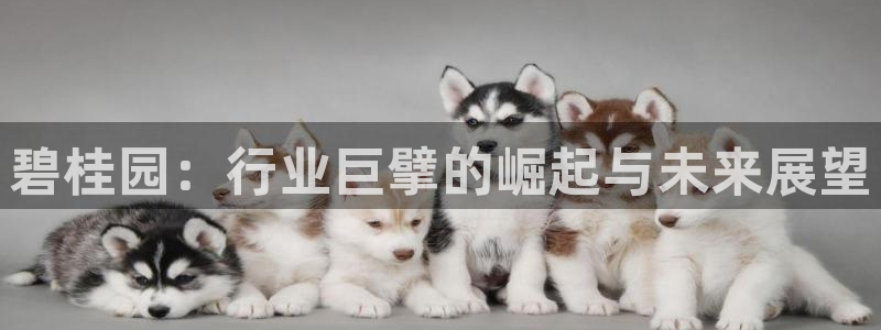 永利皮革有限公司地址