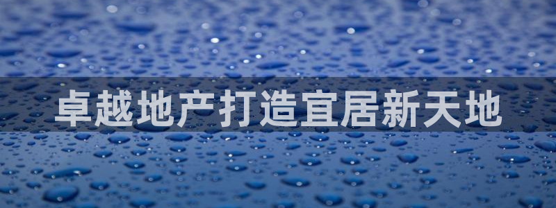 永利集团董事长