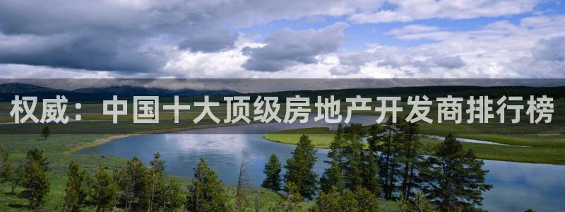 永利集团简介概况