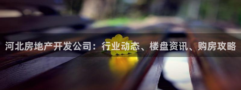 永利汇客房价格