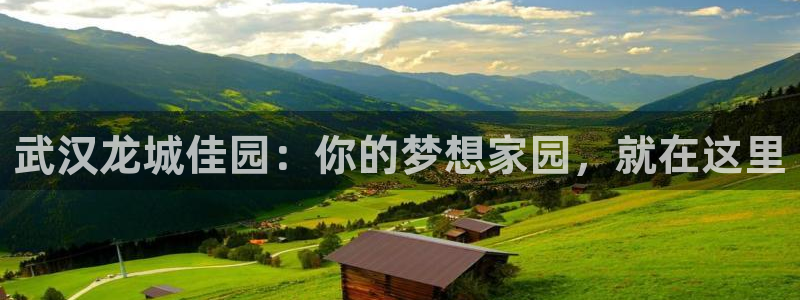 永利皮具lv工厂