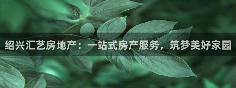 永利皮带官网价格查询系统
