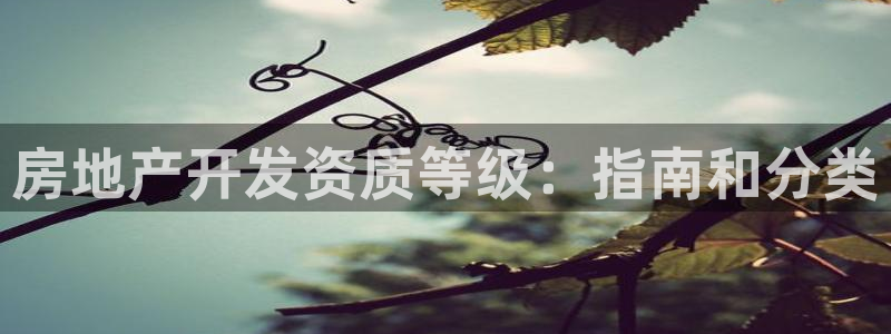 永利睹钱