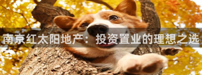 永利皮带
