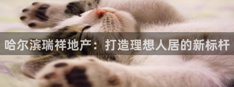 永利工艺品有限公司