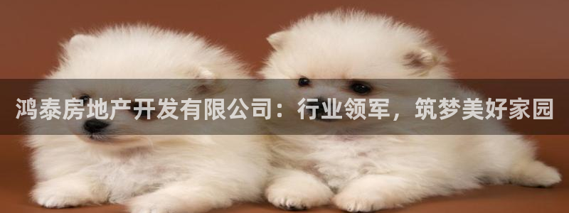 永利官网总站入口网址