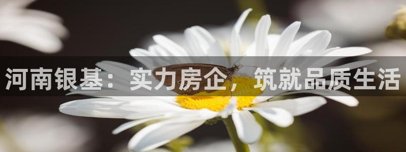 永利带钢