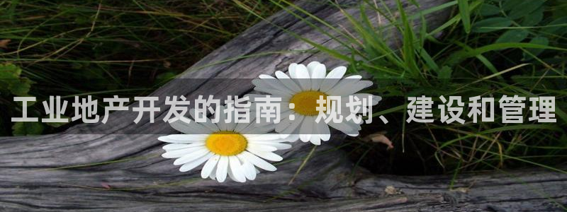 永利表行是正品吗