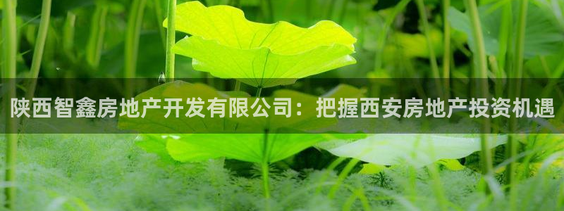 永利贴吧