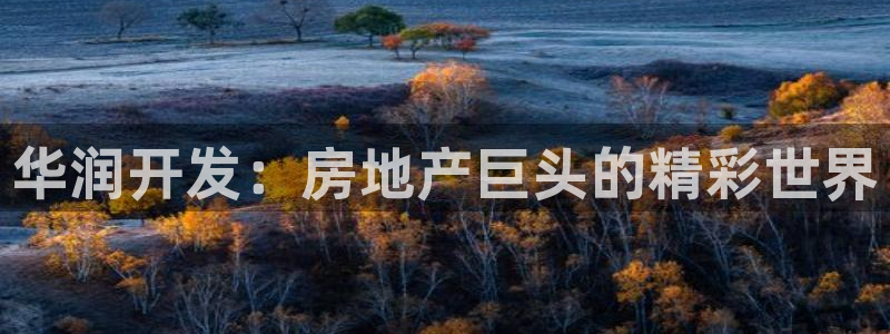 永利皮革有限公司招聘