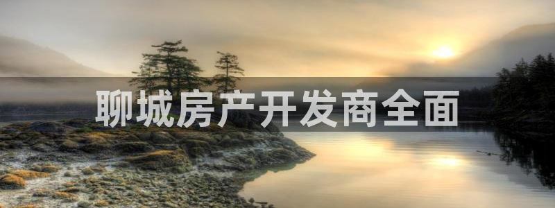 永利有限责任公司
