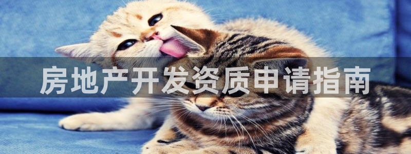 永利不给提款通道维护求助