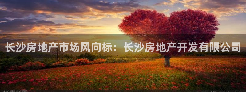 永利汇茶具有限公司