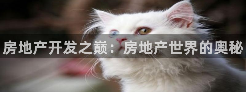 永利股份产品介绍