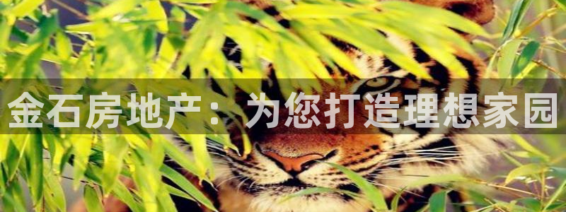 永利制品有限公司