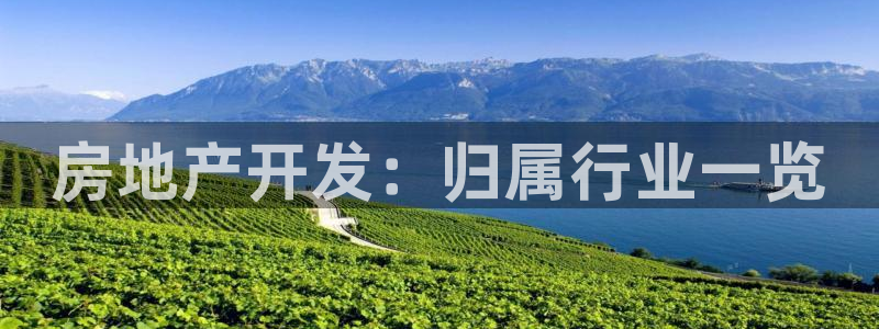 永利皮革有限公司怎么样