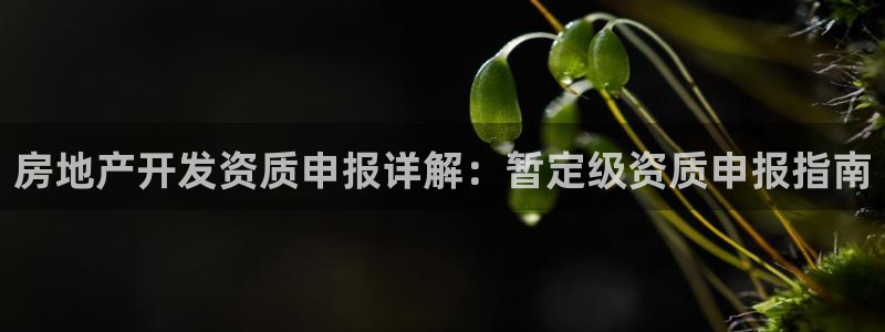 永利纺织有限公司