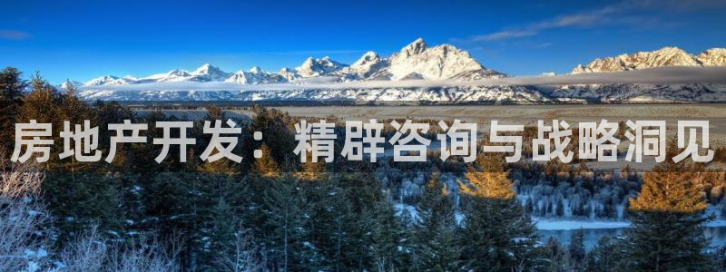 永利皮带官网价格查询